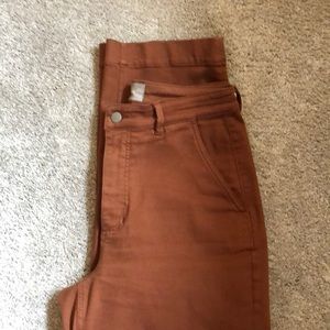 Everlane — Like New — ankle length straight leg rust color pants